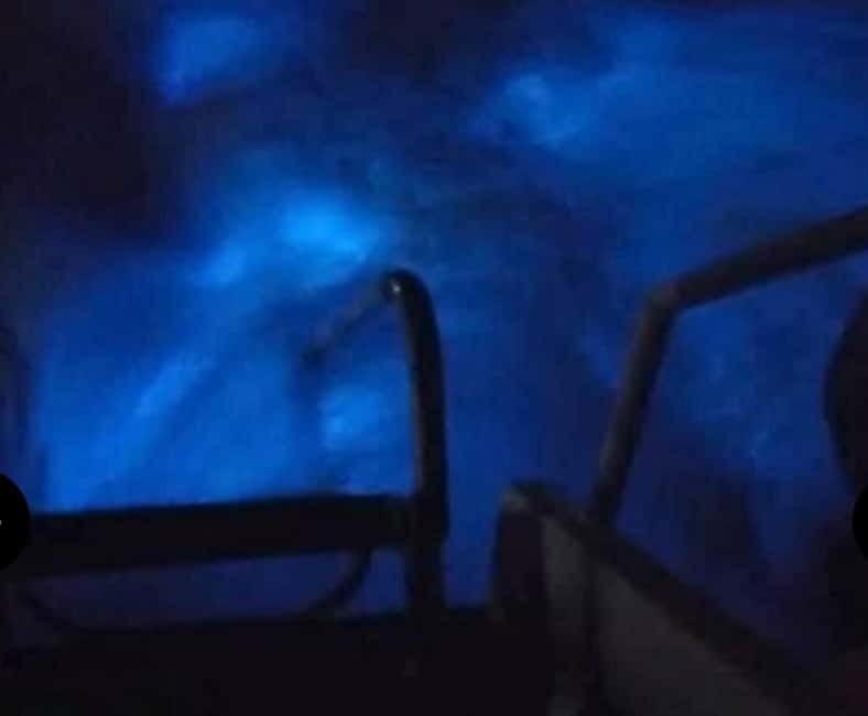 Luminous lagoon : Night Tour from Ocho Rios and Runaway Bay - What the $81 price really covers