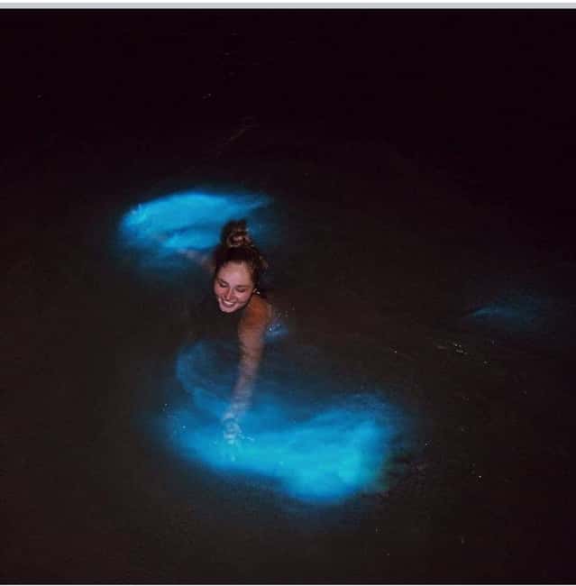 Luminous lagoon : Night Tour from Ocho Rios and Runaway Bay - Who will enjoy this night tour most