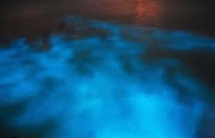 Luminous lagoon : Night Tour from Ocho Rios and Runaway Bay - The one-hour ride from Ocho Rios or Runaway Bay