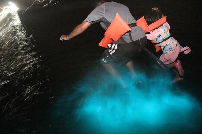 Luminous lagoon Night Tour Montego Bay - On the water, where the lagoon begins to glow