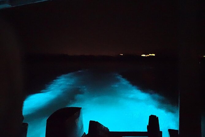 Luminous lagoon Night Tour Montego Bay - Who will enjoy this experience most