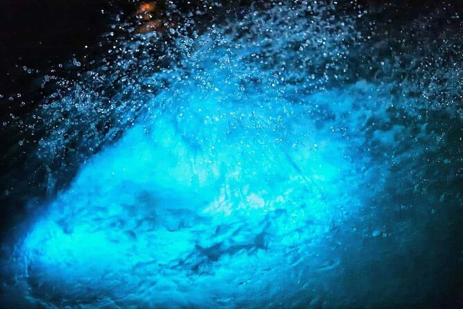 Luminous lagoon Night Tour Montego Bay - Weather and cancellation details worth noting