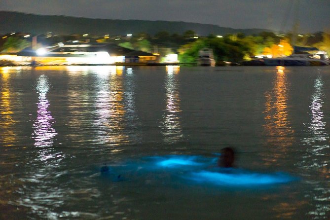 Luminous Lagoon Sightseeing Tour in Montego Bay - Five things to know before you book