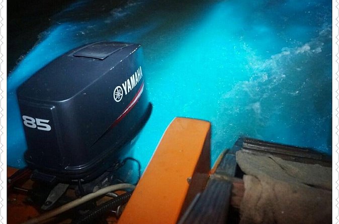 Luminous Lagoon Tour - Timing, comfort, and group size