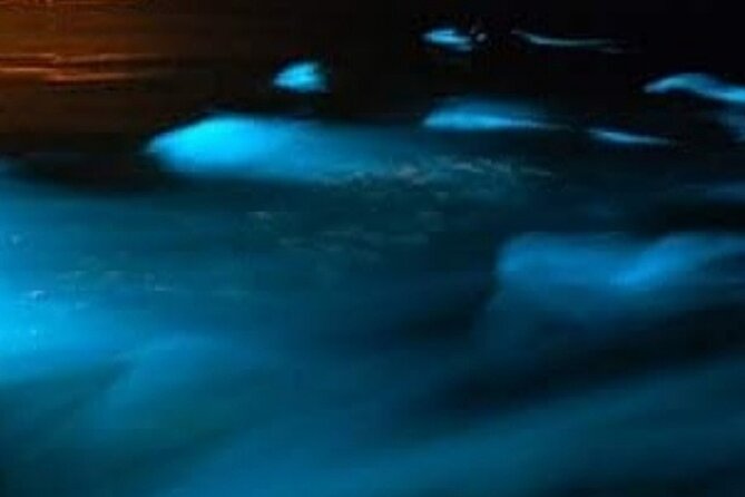 Luminous Lagoon Tour from Montego Bay (Private) - Key points to know before booking