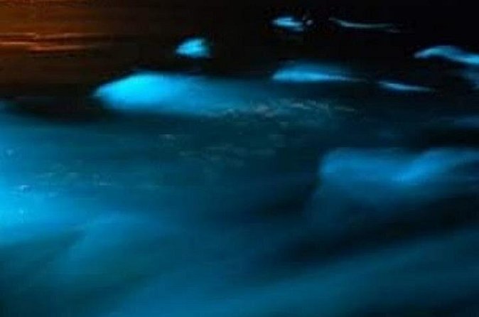 Luminous Lagoon Tour from Montego Bay (Private) - Why the Luminous Lagoon feels different from a standard boat tour