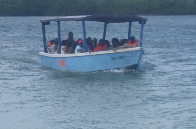 Luminous Lagoon Tour from Montego Bay & Rosehall Hotels - The value of the $74.67 price
