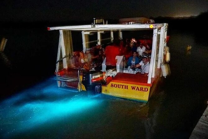 Magical Luminous Lagoon Private Tour - Why the Luminous Lagoon Feels So Strange