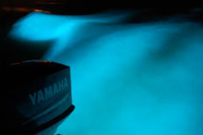 Magical Luminous Lagoon Private Tour - What to Bring and How to Set Your Expectations