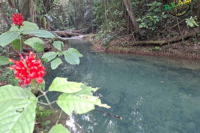 Maroon and Waterfall Adventure from Treasure Beach Jamaica - Is $160 a fair price?