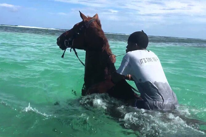 Martha Brae Rafting, Horseback Riding and Luminous Lagoon - Triple Treat - Key points to know before booking