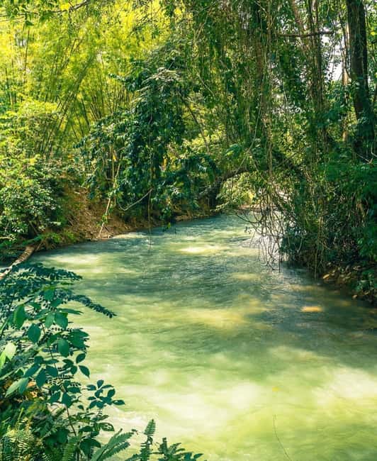 Martha Brae River Bamboo Rafting and Swamp Safari Day Tour - What the four-hour schedule means for your day