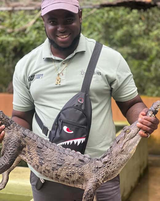 Martha Brae River Bamboo Rafting and Swamp Safari Day Tour - Should you book the Martha Brae rafting and swamp safari?