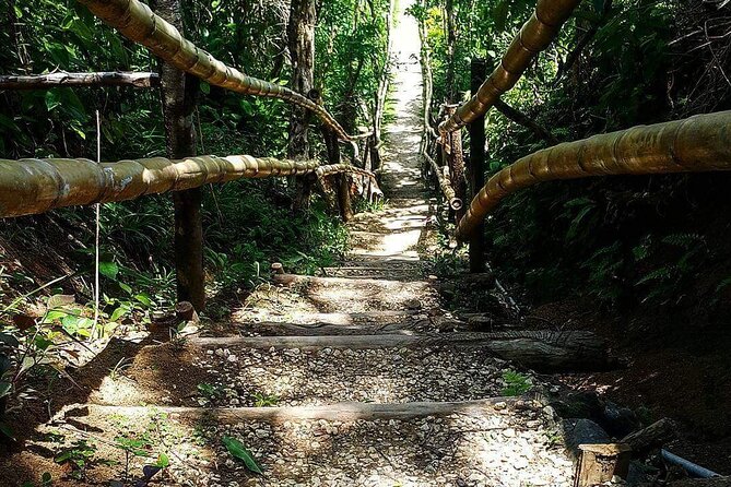 Mayfield Falls, Blue Hole & Rick's Café Tours/Weed Farm option - Mayfield Falls sets the tone with wet, rocky fun