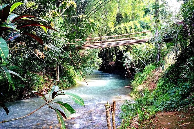 Mayfield Falls, Blue Hole & Rick's Café Tours/Weed Farm option - Rick’s Café brings cliff jumping and a famous Negril stop
