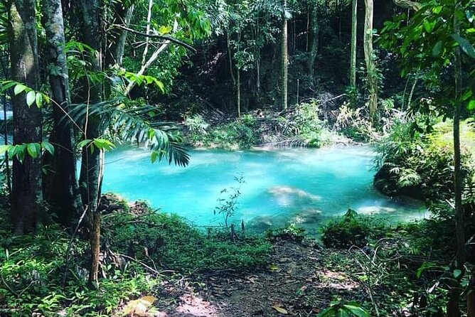 Mayfield Falls, Blue Hole & Rick's Café Tours/Weed Farm option - What $190 covers, and where the extras begin