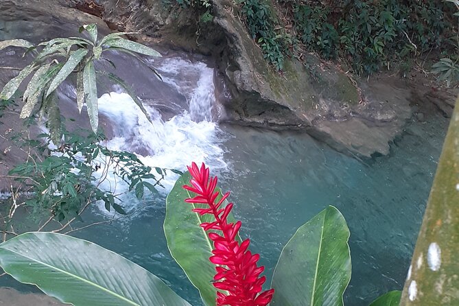 Mayfield Falls nature walk - How the $150 price measures up
