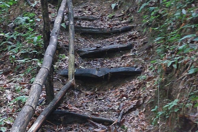 Mayfield Falls nature walk - Who will enjoy Mayfield Falls most