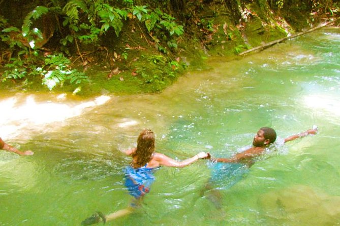 Mayfield Falls Private Tour - Why the guide can shape the whole visit