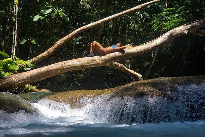 Mayfield Falls Tour with Lunch, drink, Entry & Transp(Original) - Lunch after the water walk