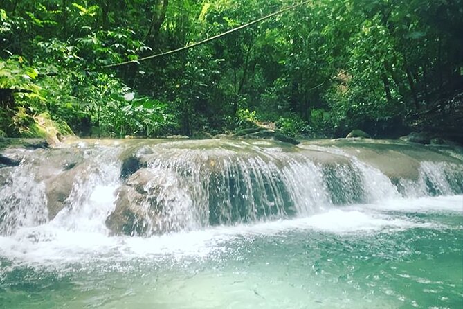Mayfield Falls Tour with Lunch, drink, Entry & Transp(Original) - Is the activity suitable for you?
