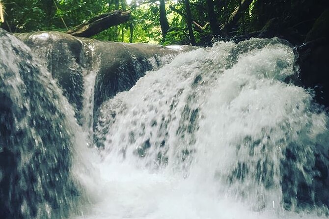 Mayfield Falls Tour with Lunch, drink, Entry & Transp(Original) - Service, guides, and the human touch