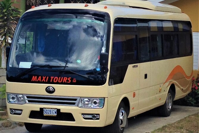 MBJ Round trip Airport Transfer to Grand Palladium & Lady Hamilton, Lucea Jm - Timing, Meeting Points, and Physical Effort