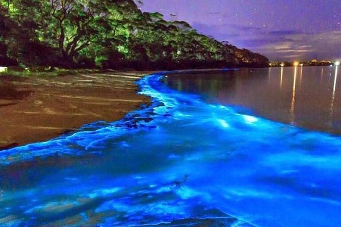 Mesmerizing Luminous Lagoon (Glistening Waters) Night Tour - Key points at a glance