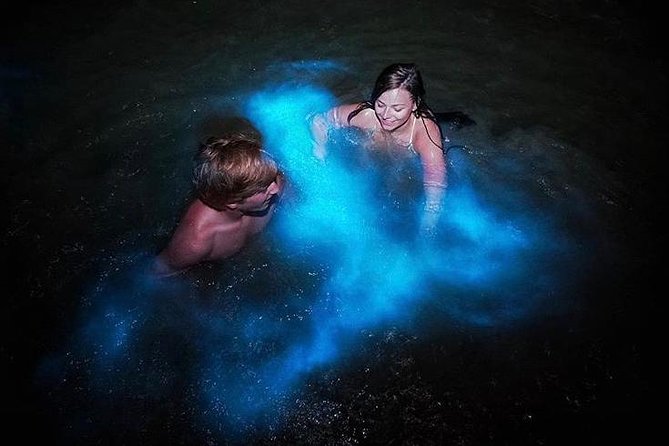 Mesmerizing Luminous Lagoon (Glistening Waters) Night Tour - Why the Luminous Lagoon glows at night