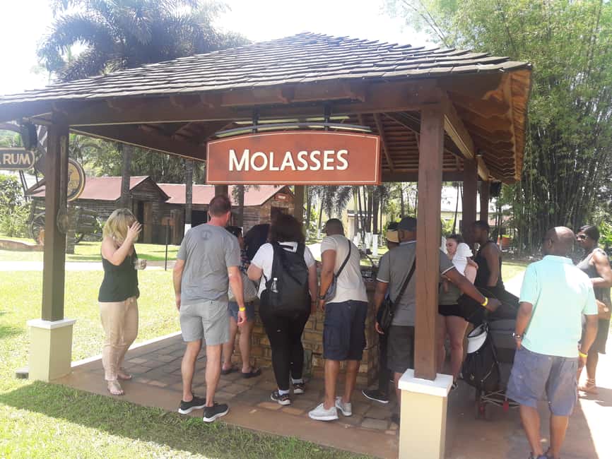 Montego Bay: 8-Hour Appleton & Pelican Bar Return Transfer - The long ride from Montego Bay to Saint Elizabeth