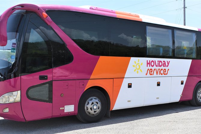 Montego Bay Airport (MBJ) Transfer One-Way or Round-Trip to Hotel - The drivers make the biggest difference