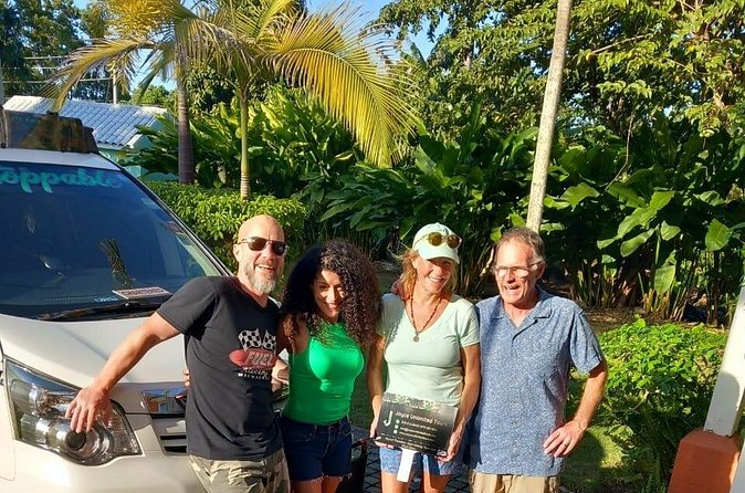 Montego Bay Airport Transfers Private Taxi to Hotels in Negril - Who should book this private ride?