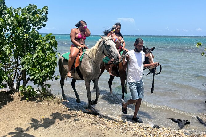 Montego Bay Beach Horseback Riding Tour - Why this beach ride works well from Montego Bay