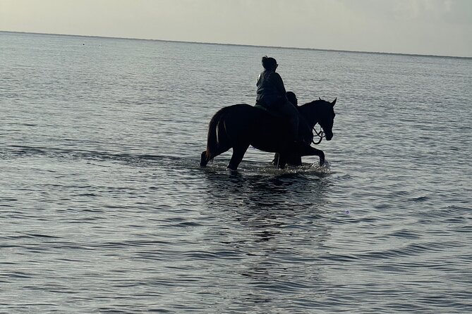 Montego Bay Beach Horseback Riding Tour - The guides are the heart of the experience