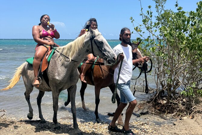 Montego Bay Beach Horseback Riding Tour - Who should book this experience?