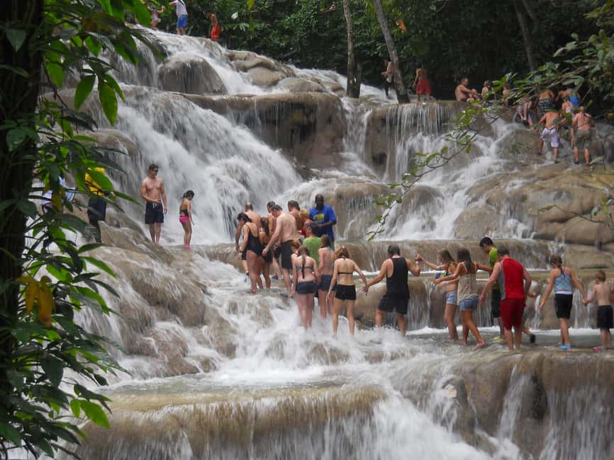 Montego Bay: Blue Hole, Dunn’s River, and Reggae Hill Tour - Who will enjoy this day most