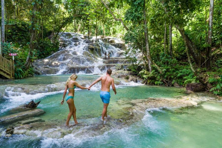 Montego Bay:Blue Hole, Secret Falls & Dunn's River Fall Trip - Who should book this day?