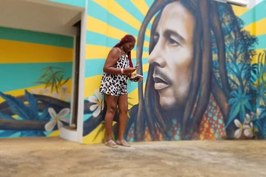 Montego Bay: Bob Marley, Dunn's river and Luminous Lagoon - Key points to know before booking