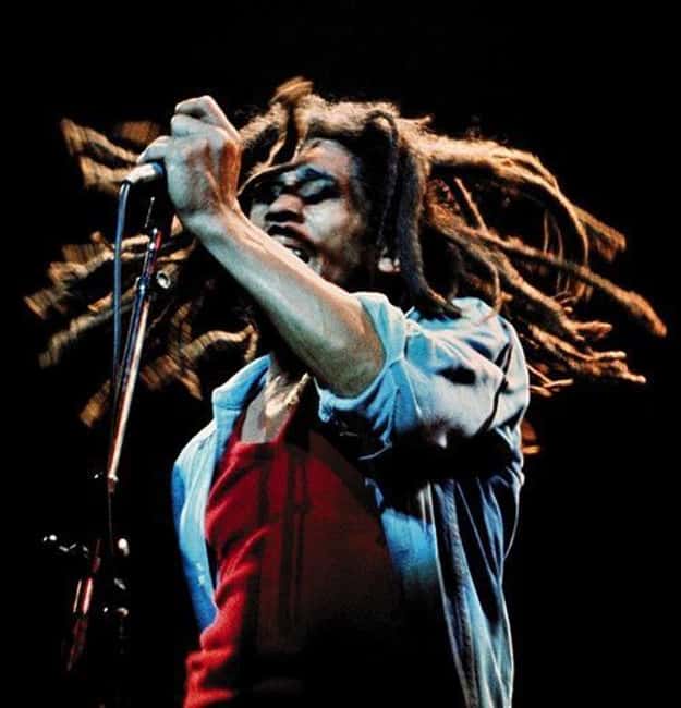 Montego Bay: Bob Marley Tour to 9 Mile, St. Ann - Key points to know before booking