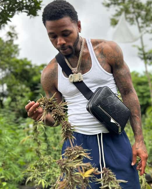 Montego Bay: Cannabis Farm, Bamboo Rafting, & Foot Massage - Key points to know before booking