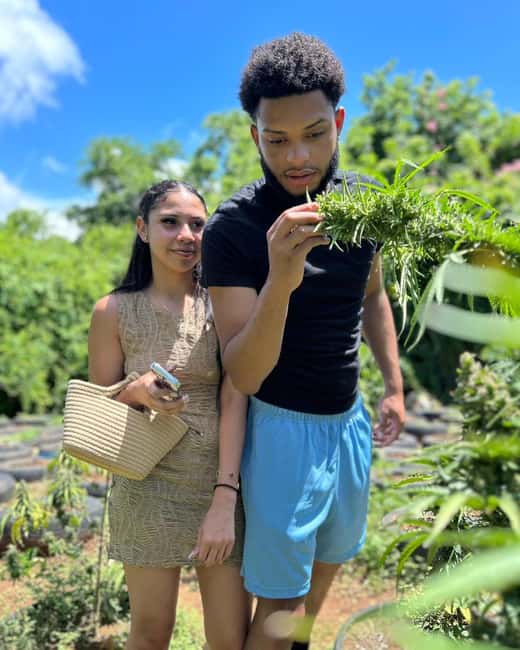 Montego Bay: Cannabis Farm, Bamboo Rafting, & Foot Massage - Floating down the Lethe River on bamboo
