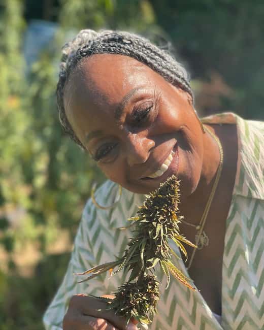 Montego Bay: Cannabis Farm, Bamboo Rafting, & Foot Massage - Warm limestone and a gentler finish