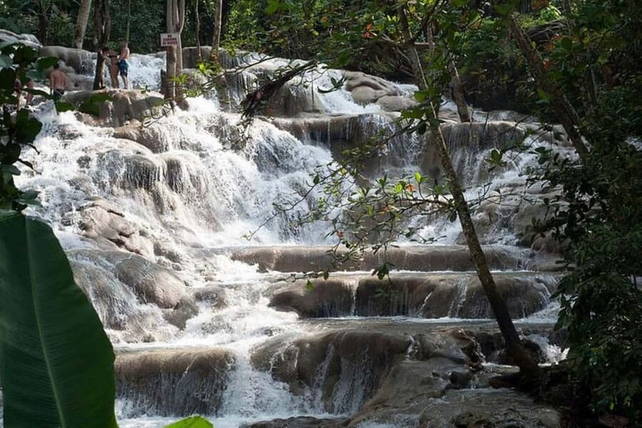 Montego Bay: Chuck Norris Falls & Dunn's River Falls Tour - Who should book this waterfall tour?