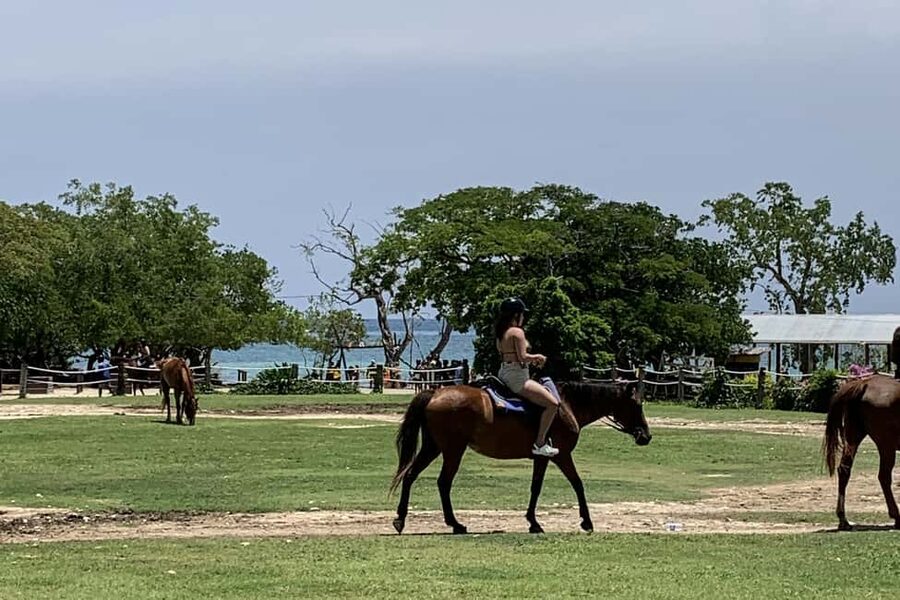 Montego Bay: Day Trip with Zipline, ATV, and Horseback Ride - Ziplining above the Jamaican countryside