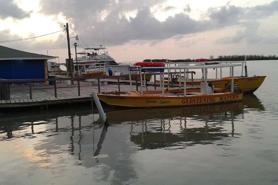Montego Bay: Dunn's River Falls & Luminous Lagoon Tour - The north coast ride from Montego Bay