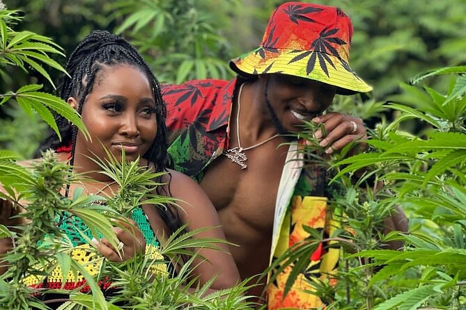 Montego Bay Exotic Herbs, Birds and Animals Interaction Tour - Key Points to Know Before You Book