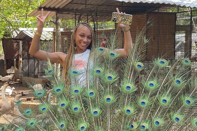 Montego Bay Exotic Herbs, Birds and Animals Interaction Tour - Ironshore Gives the Tour Its Local Feel