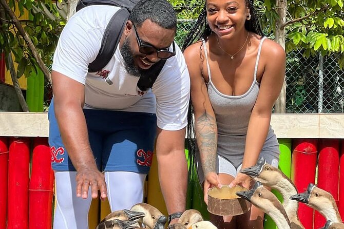Montego Bay Exotic Herbs, Birds and Animals Interaction Tour - Guides Make a Big Difference