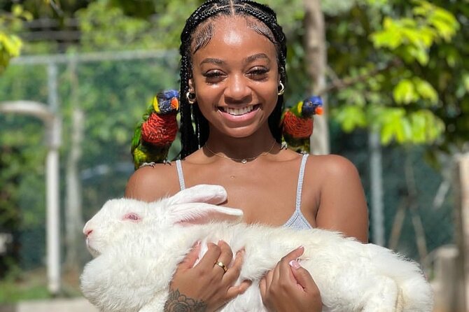 Montego Bay Exotic Herbs, Birds and Animals Interaction Tour - Is $95 a Fair Price?