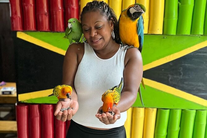 Montego Bay Exotic Herbs, Birds and Animals Interaction Tour - Who Will Enjoy This Most?